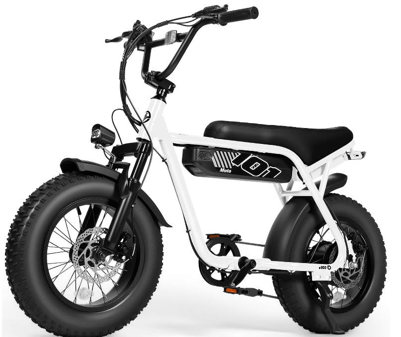 Voltara™ S101 Electric Dirt Bike